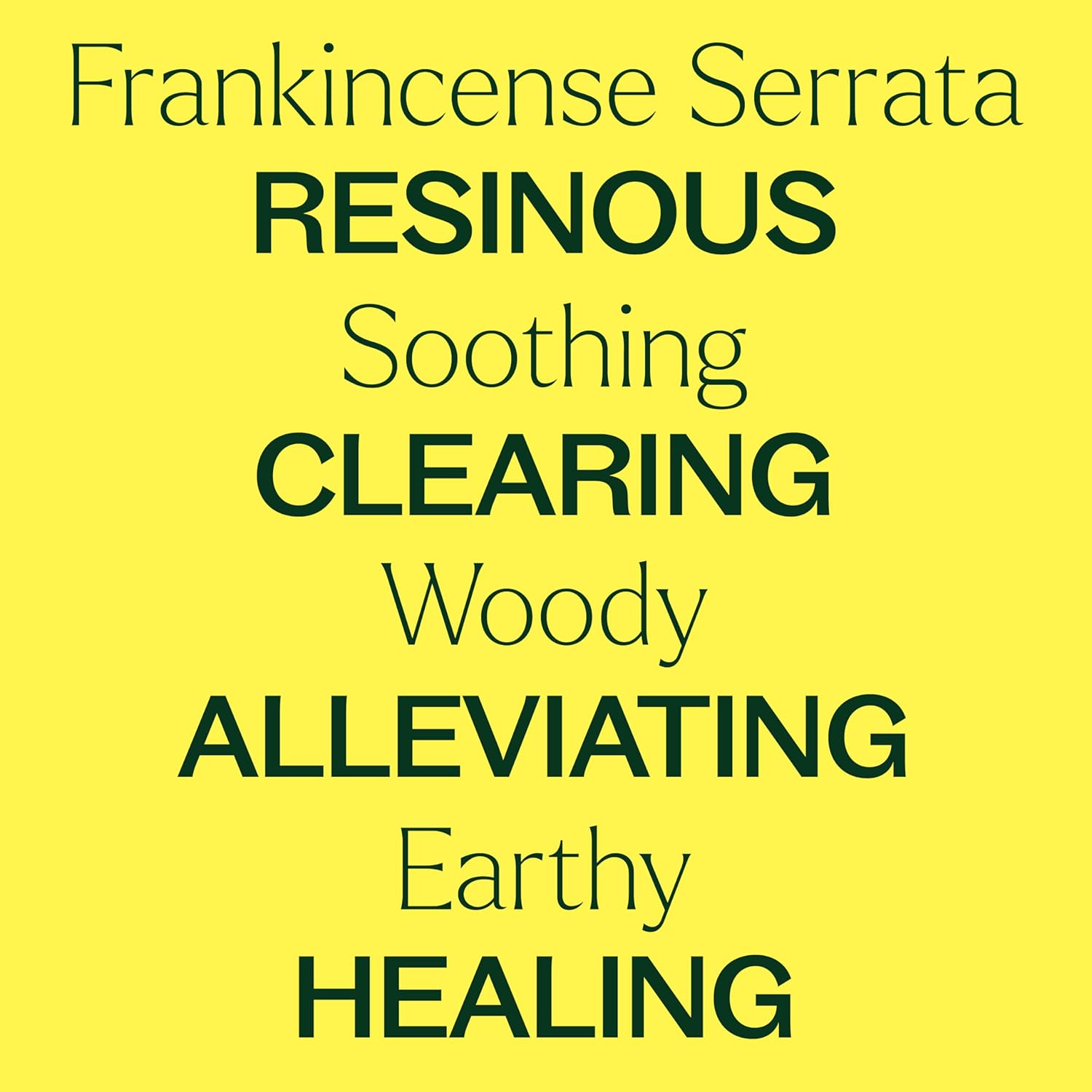 Plant Therapy Organic Frankincense Serrata Essential Oil 100% Pure, USDA Certified Organic, Undiluted, Natural Aromatherapy, Therapeutic Grade 10 mL (1/3 oz) - Image 4