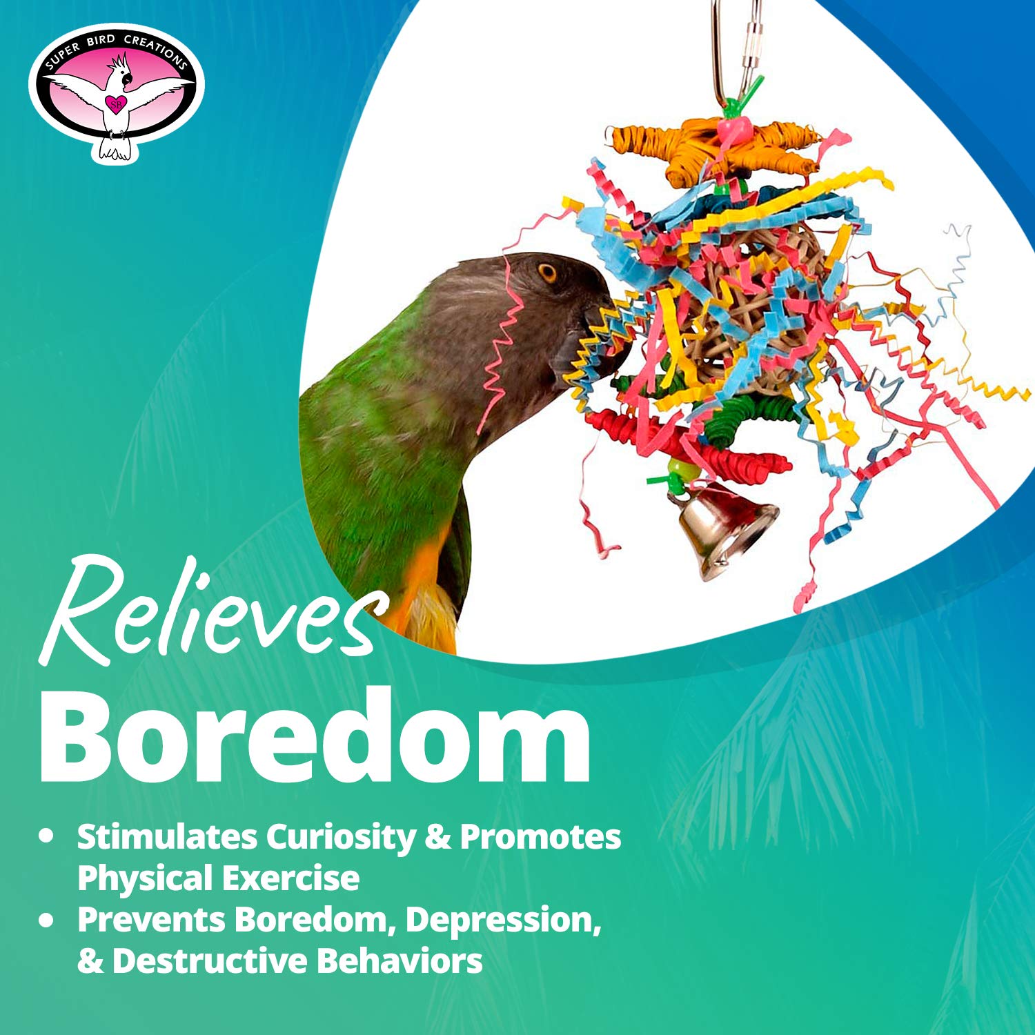 Superbird Creations SB541 - Stella Increspata, variabile, thumbnail 6