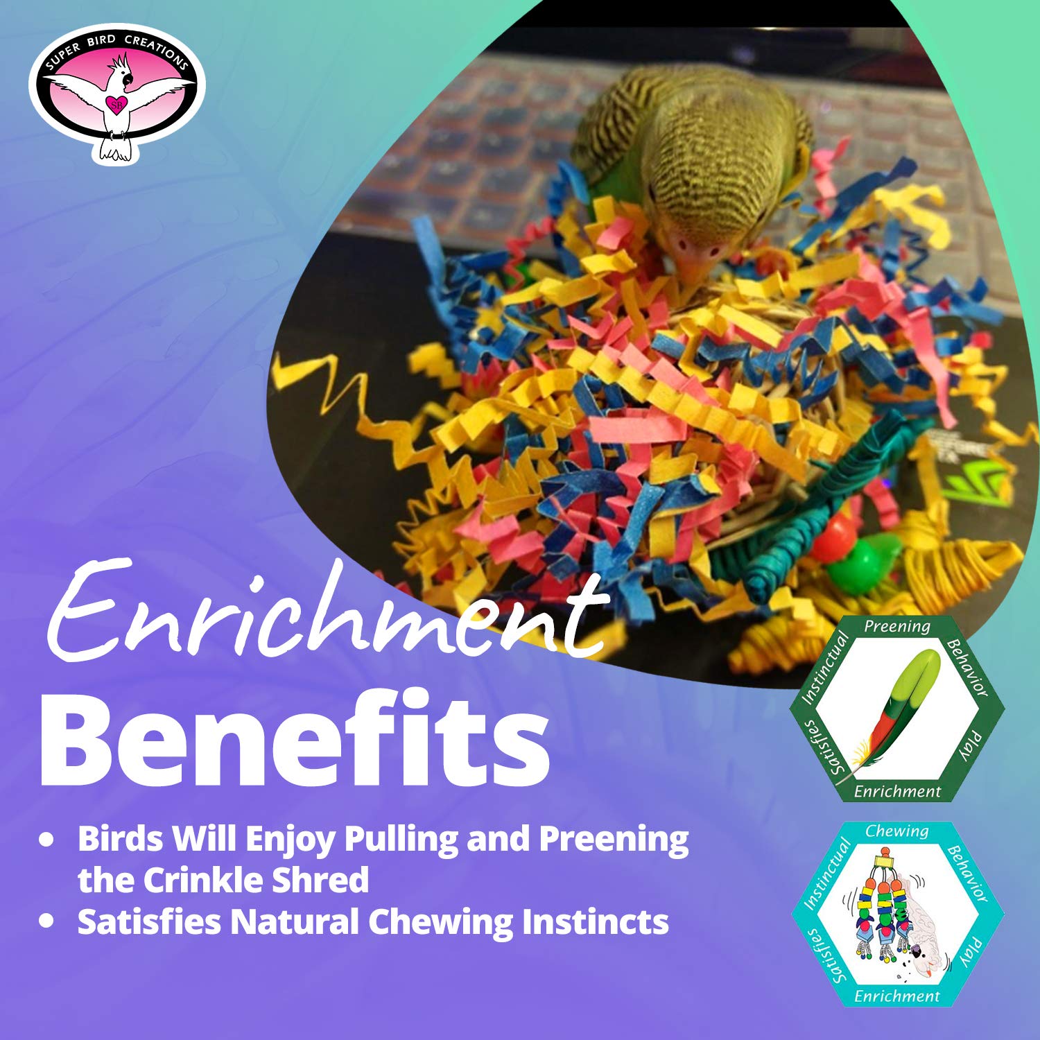 Superbird Creations SB541 - Stella Increspata, variabile, thumbnail 5