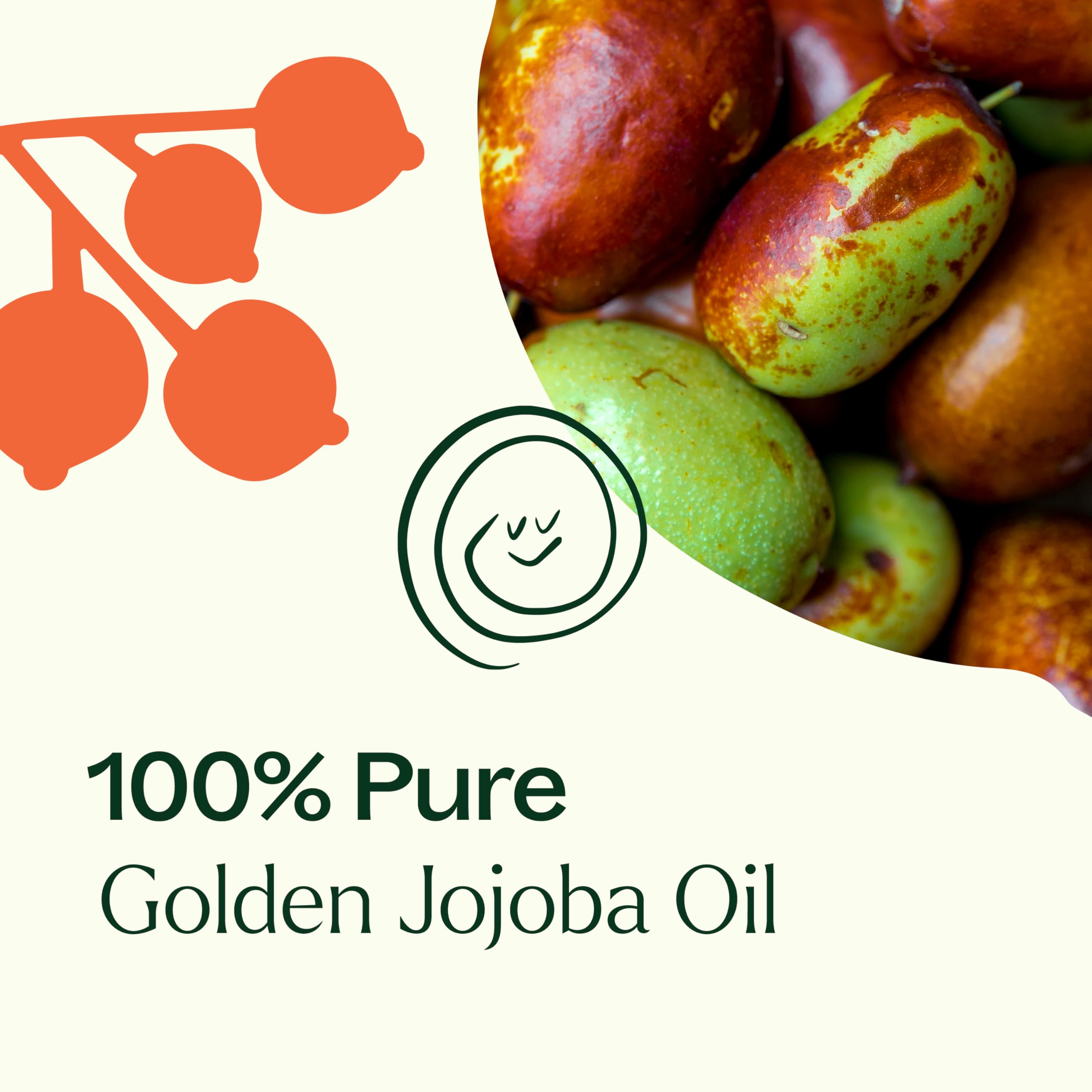 Plant Therapy Jojoba Golden Carrier Oil 946ml (32oz) | Pure Cold-Pressed Moisturizer for Skin & Essential Oils - Image 5