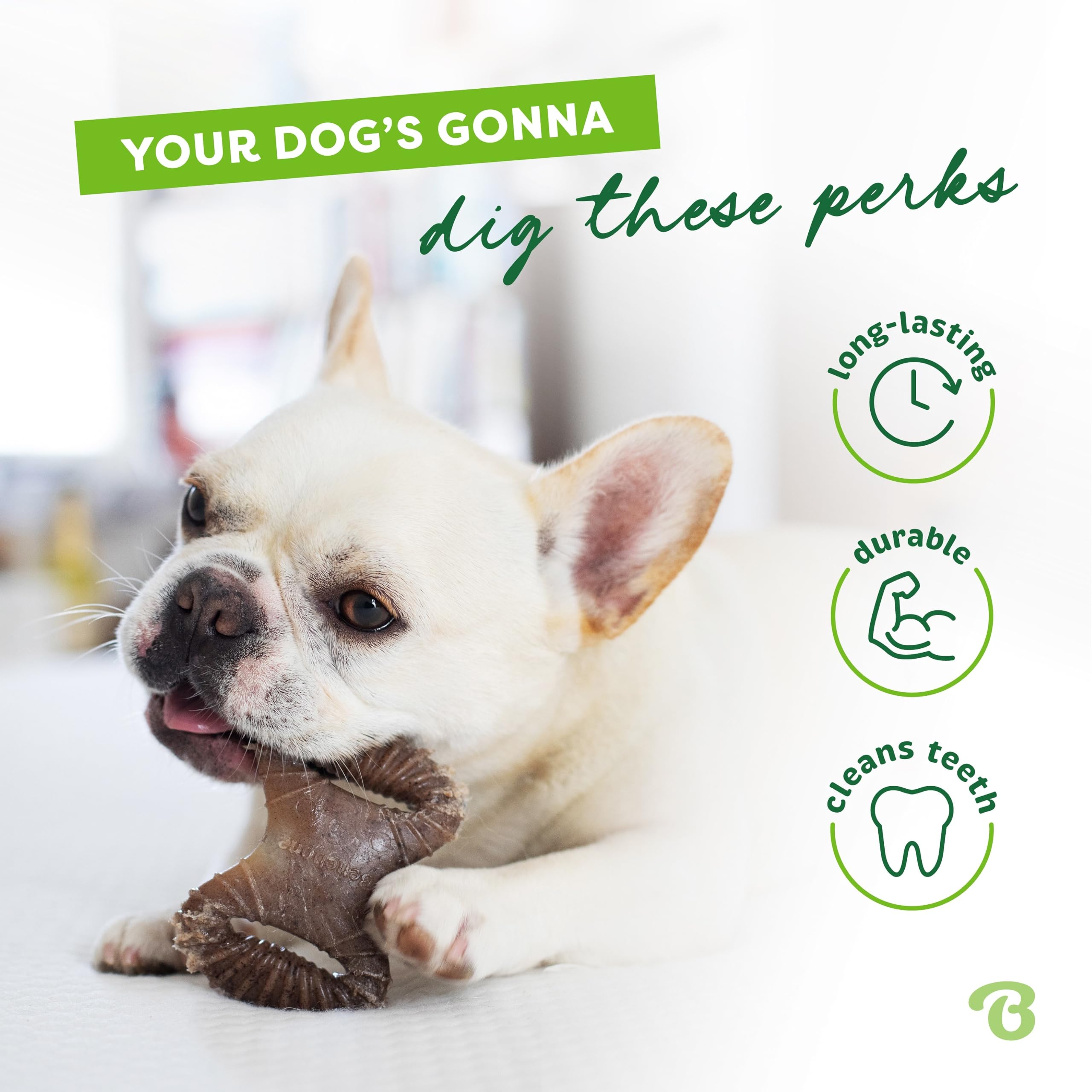 Benebone Tiny 2-Pack Dog Chew Toys, Made in USA, Real Bacon Flavor, Small thumbnail 3