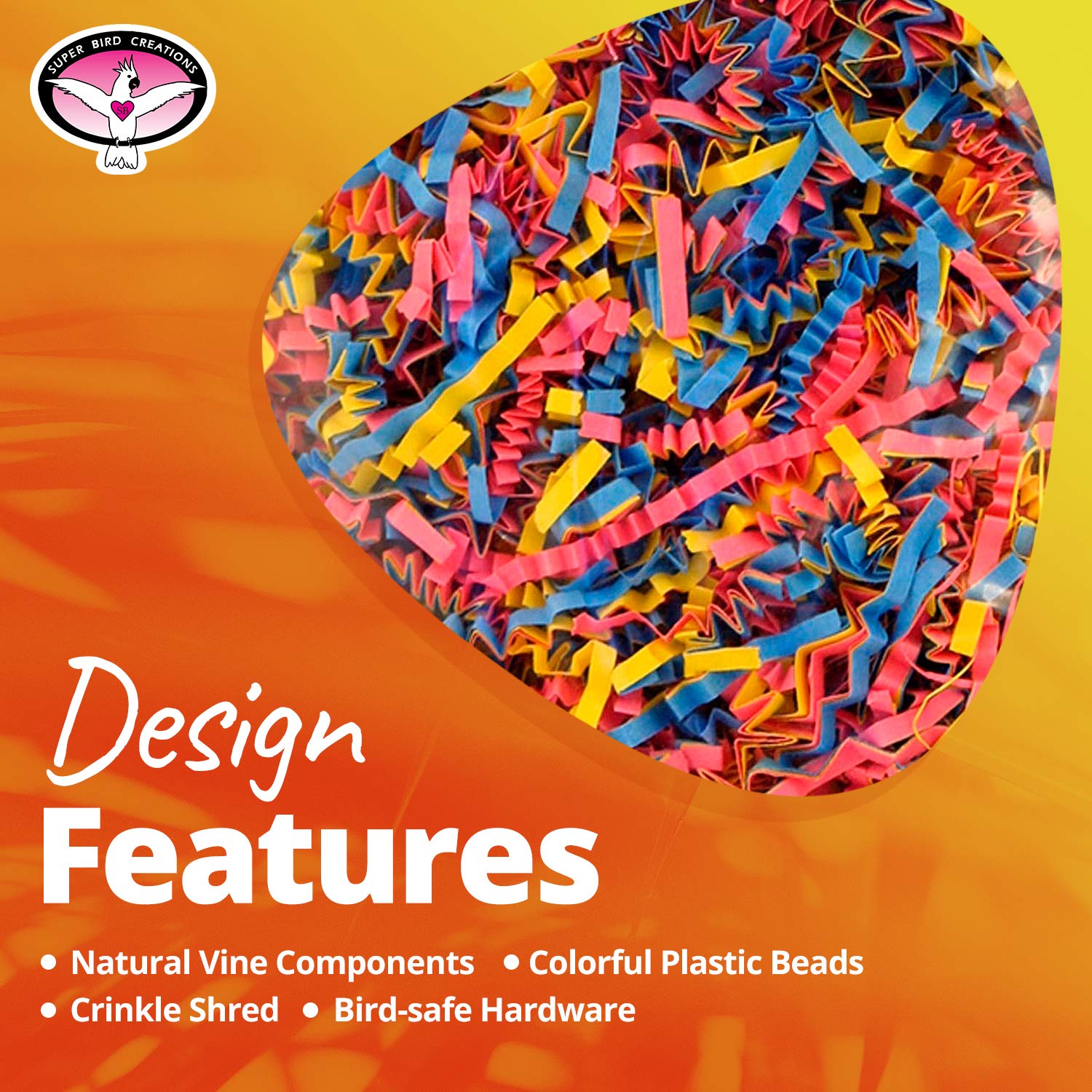 Superbird Creations SB541 - Stella Increspata, variabile, thumbnail 4