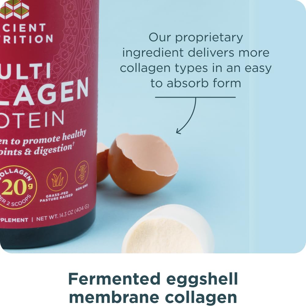 Ancient Nutrition Multi Collagen Protein Powder with Probiotics 45 Servings (16oz) | Support Skin, Nails & Gut Health - Image 6