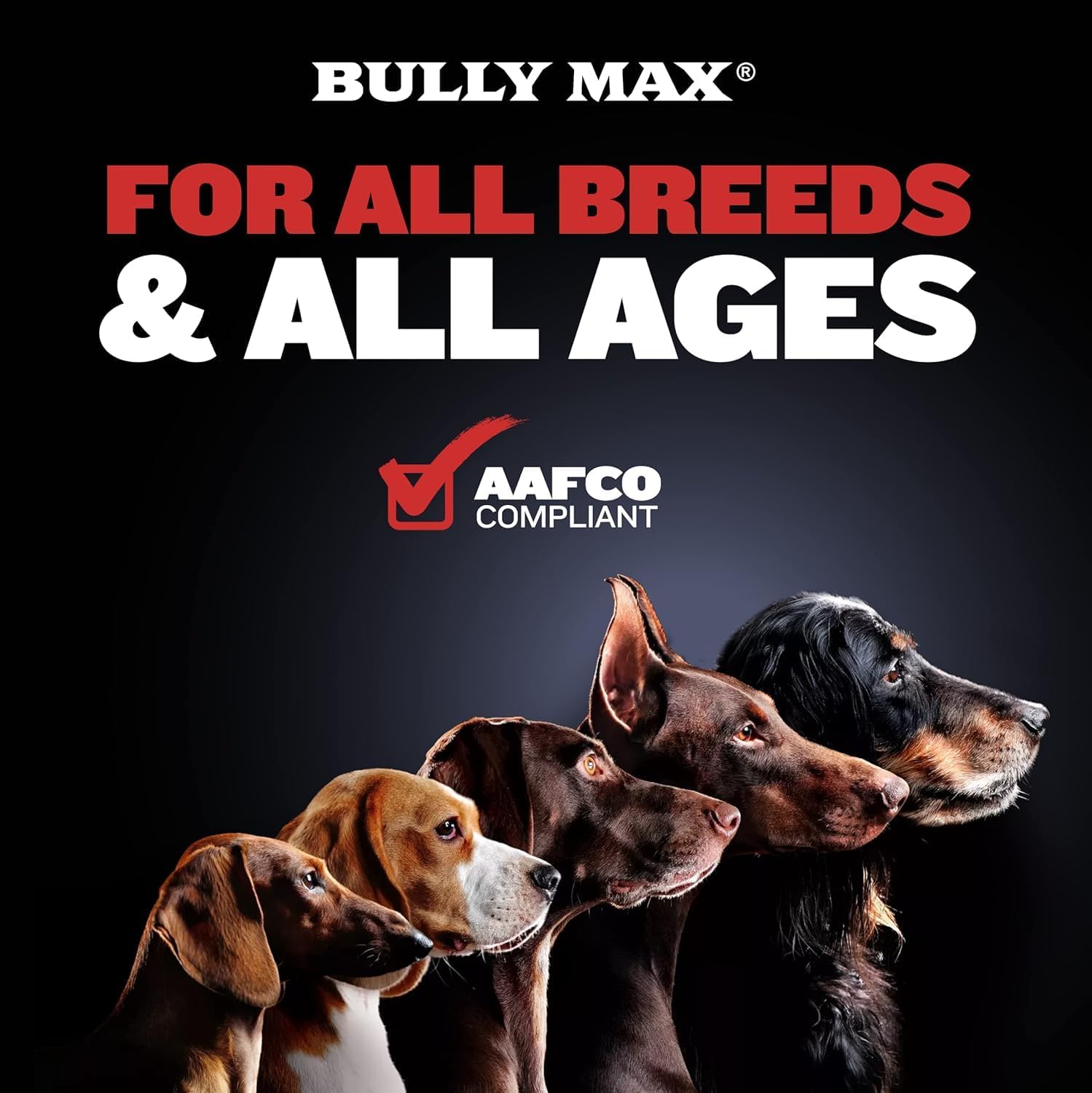 Bully Max High-Performance Dog Food 15lb (6.8kg) | Fuel Your Dog's Peak Performance - Image 4
