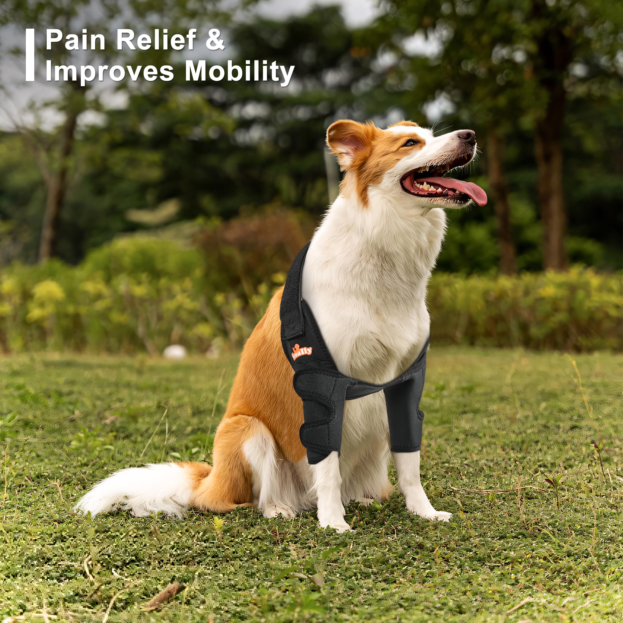 NeoAlly Dog Elbow Brace Protector 1 Pair | Support for Canine Elbow Hygroma & Joint Pain - Image 6